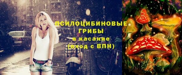 молекула духа Аркадак