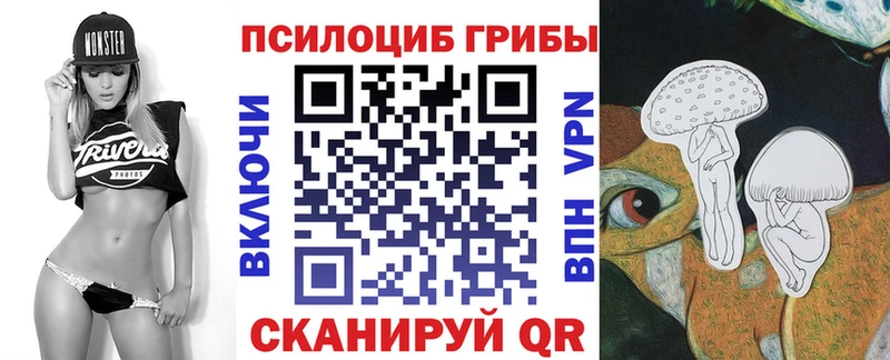 продажа наркотиков  гидра маркетплейс  Галлюциногенные грибы Psilocybe  Рузаевка 